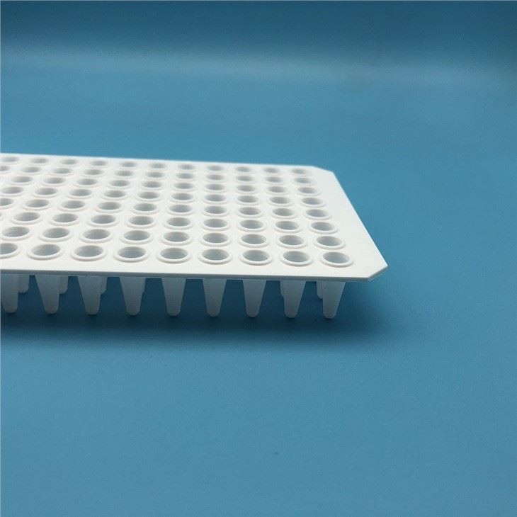 PCR Plate wholesale
